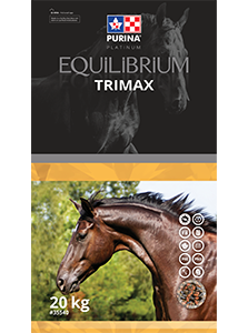 Equilibrium Trimax